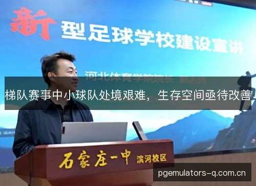 梯队赛事中小球队处境艰难，生存空间亟待改善